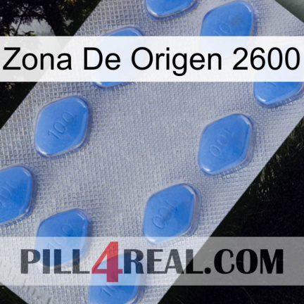 Home Zone 2600 21